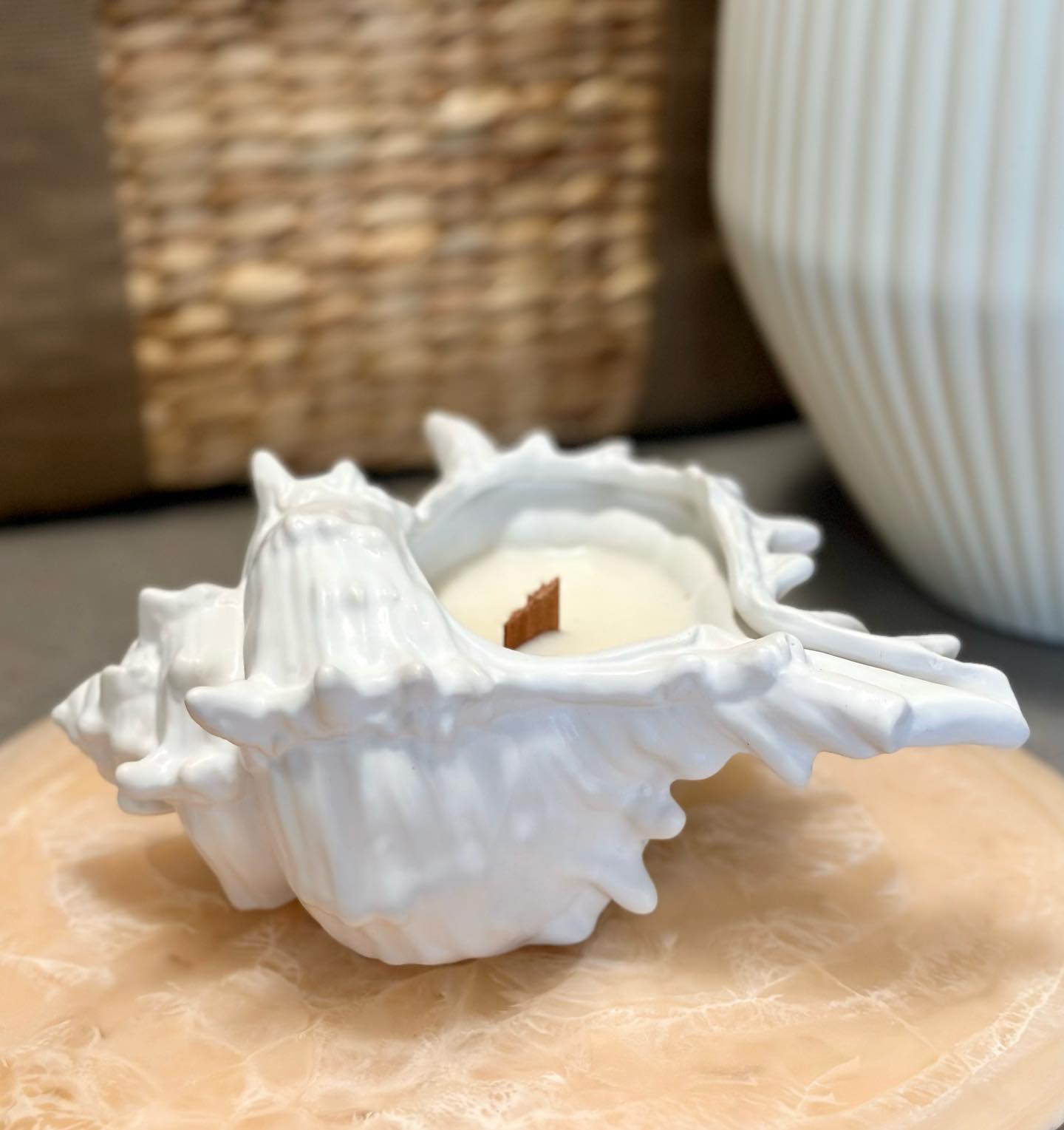 Ocea Shell Candle - Shorelines Collection