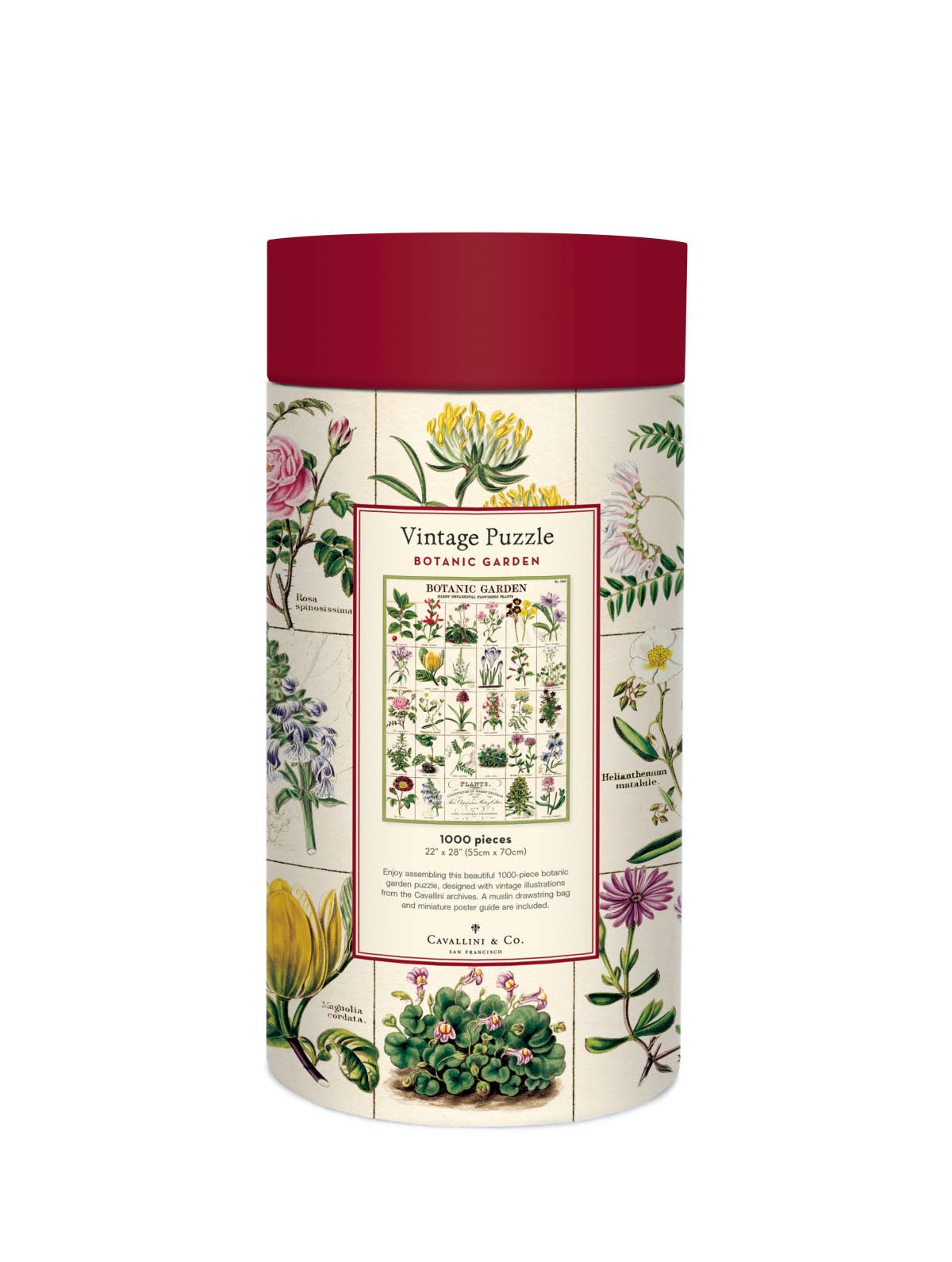 Cavallini - 1000 Pc Puzzle Botanic Garden