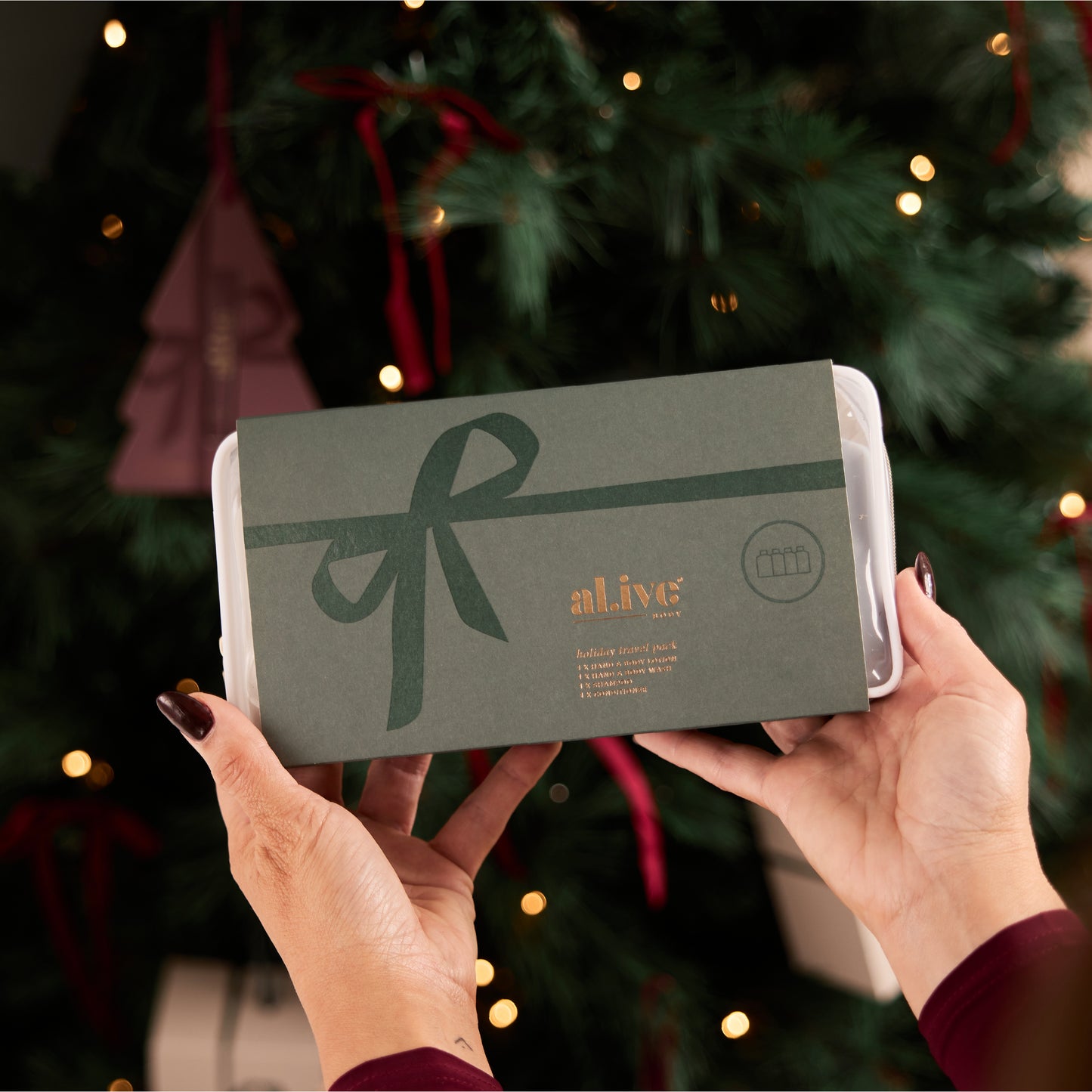 Holiday Travel Pack - Al.ive Body