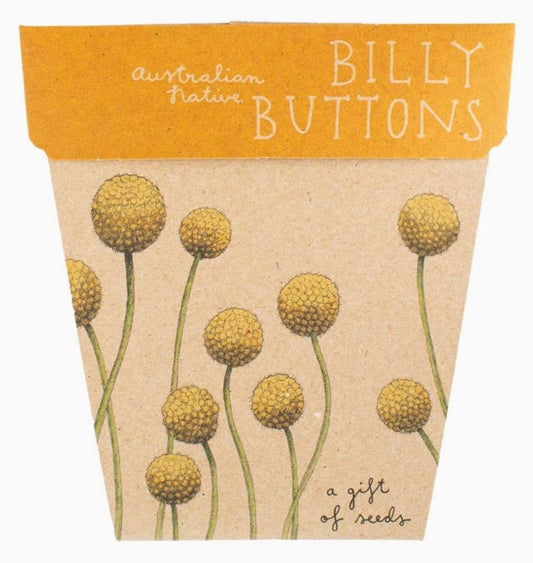 Gift Of Seeds - Sow & Sow