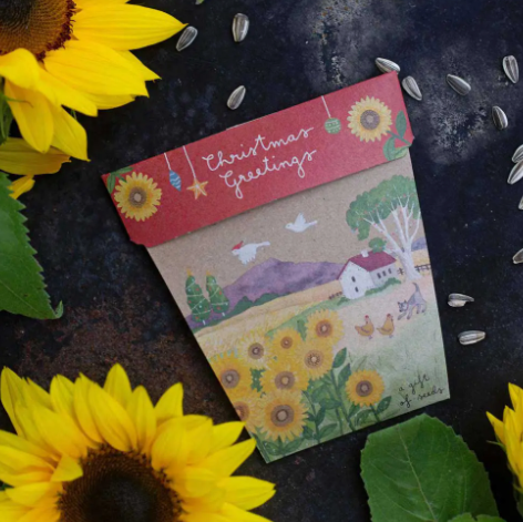 Gift Of Seeds - Sow & Sow