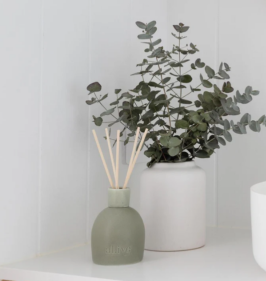 Blackcurrant & Caribbean Wood Diffuser - Al.ive