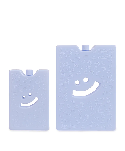 Ice Brick - The Somewhere Co.