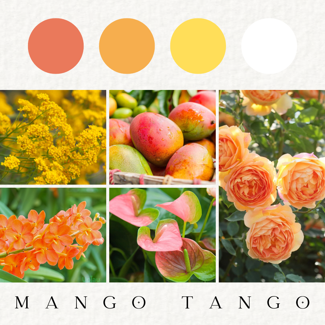 Mango Tango - Fresh Flowers