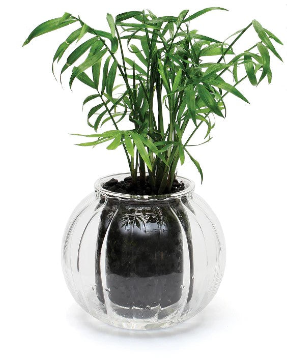 Medium Ribbed Self-watering Glass Pot - Cupoflora