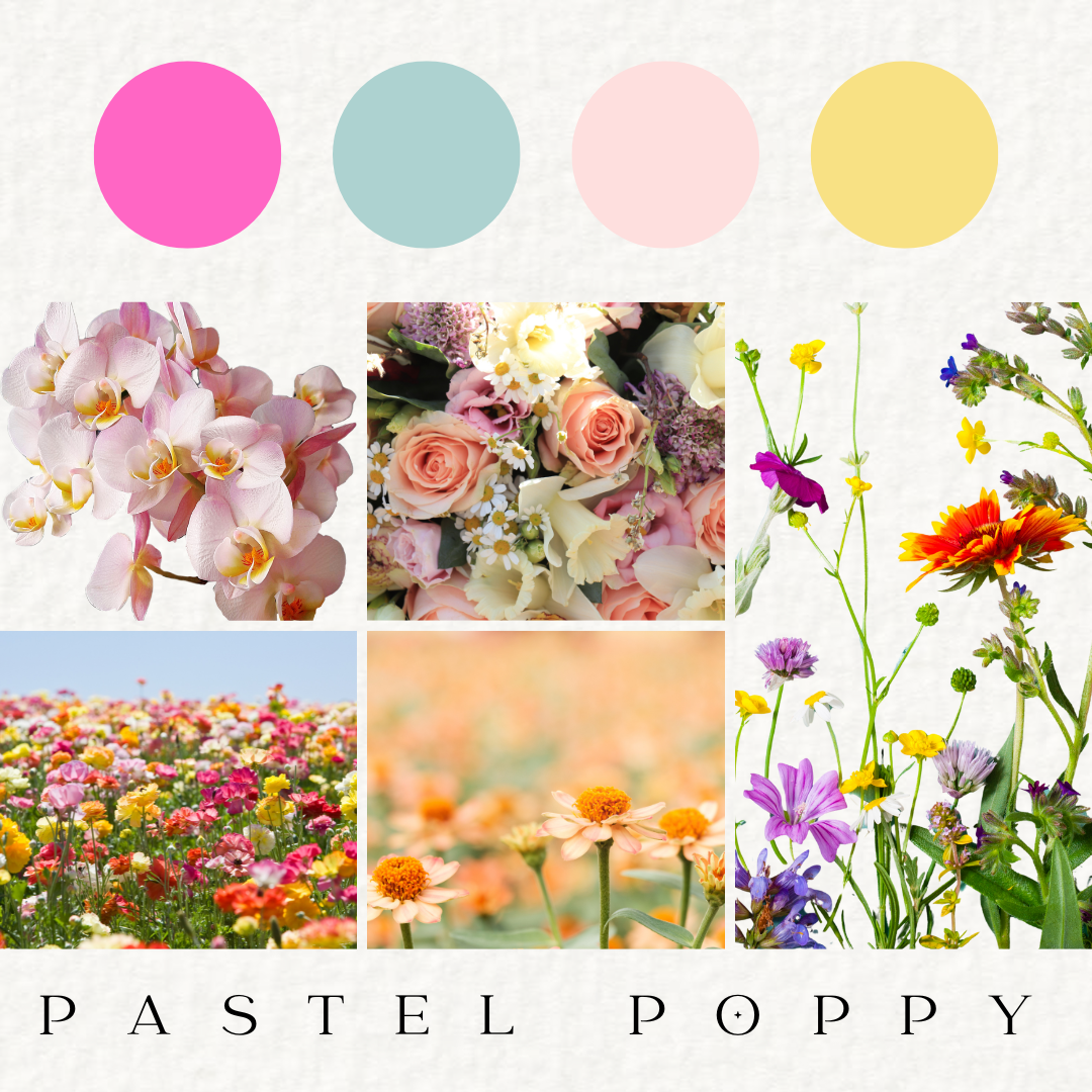 Pastel Poppy - Fresh Flowers