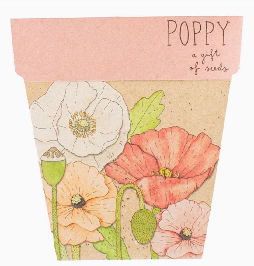 Gift Of Seeds - Sow & Sow