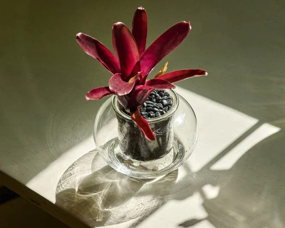 Small Self-watering Glass Pot - Cupoflora