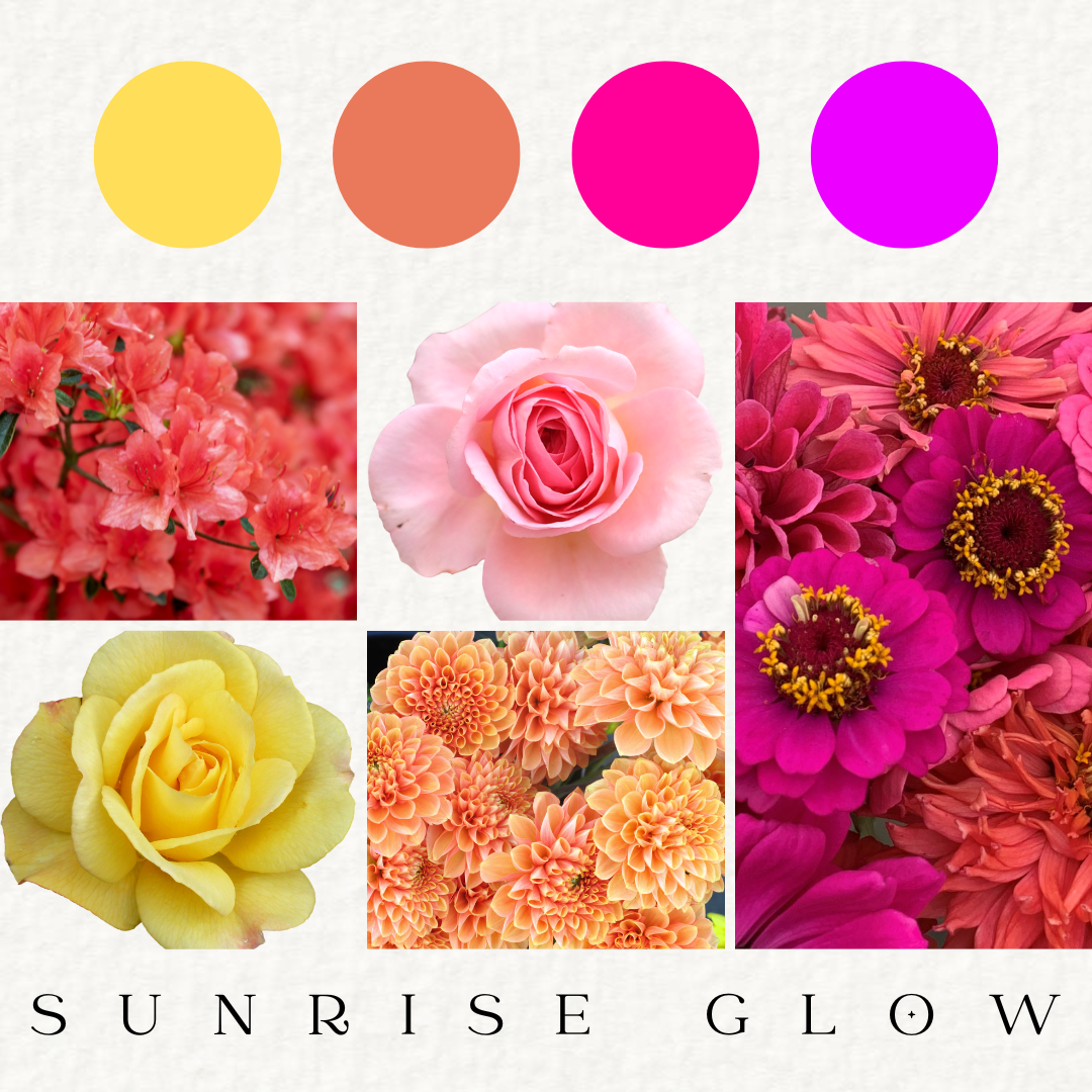 Sunrise Glow - Fresh Flowers