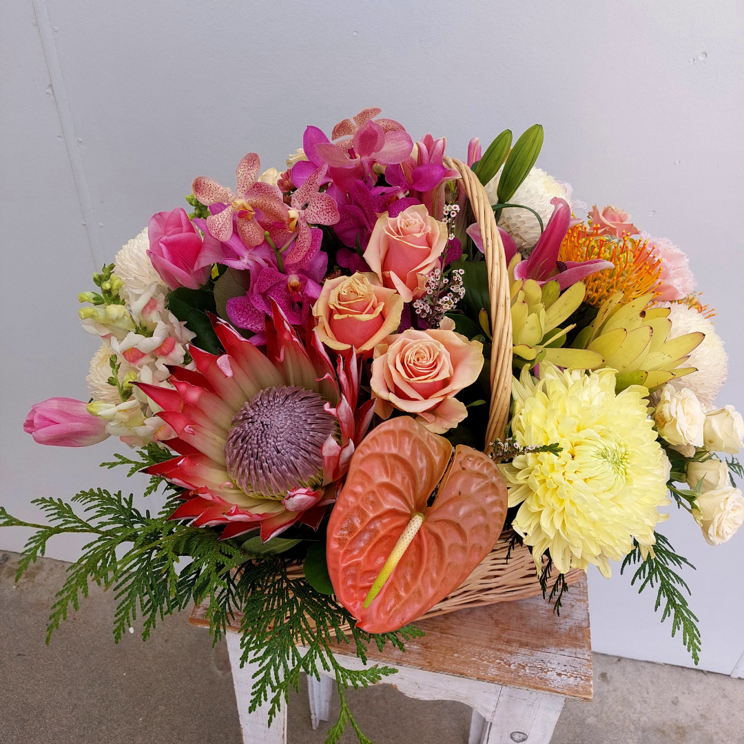 Pastel Poppy - Fresh Flowers