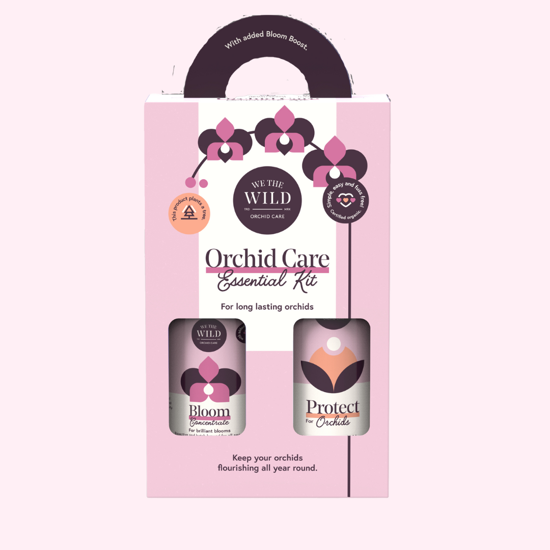 Orchid Care Duo - We The Wild