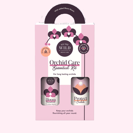 Orchid Care Duo - We The Wild