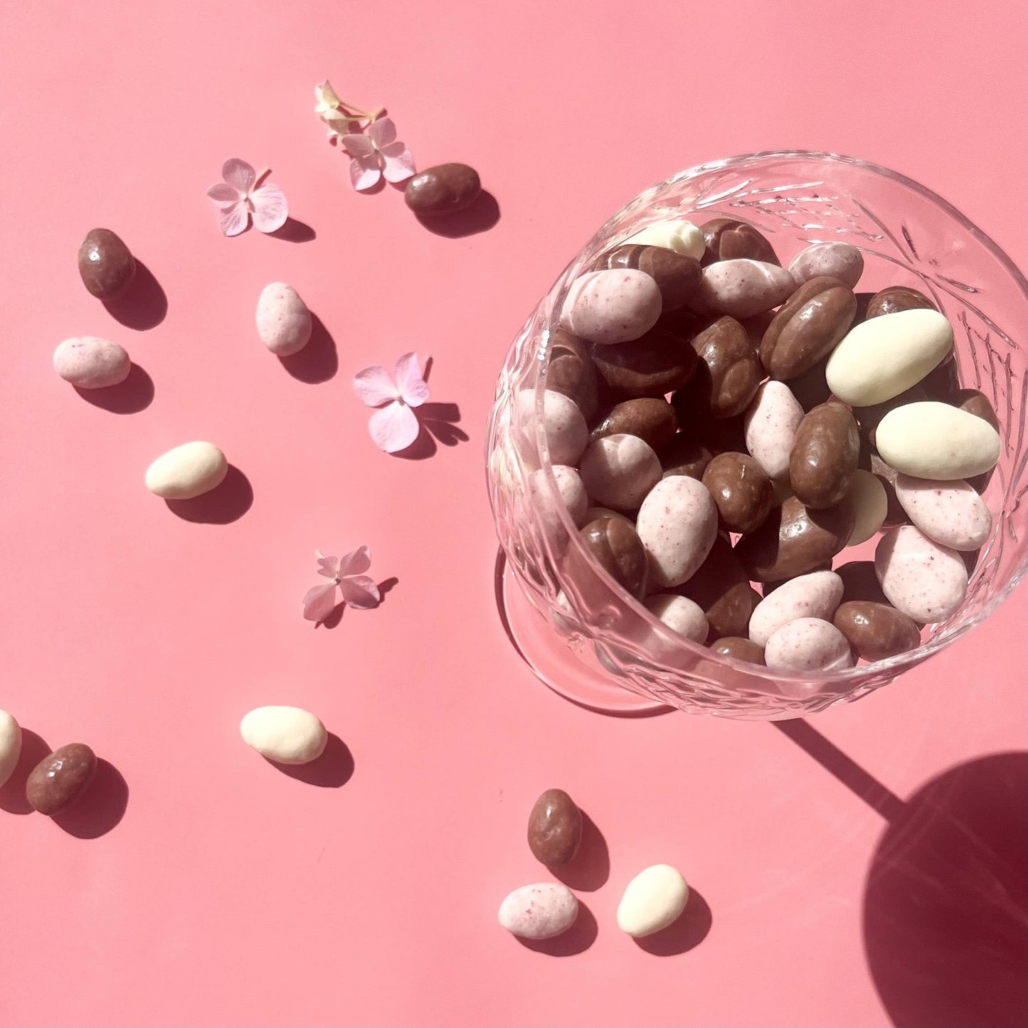 Chocolate Coated Roast Almond Medley - Sweet Pea & Poppy