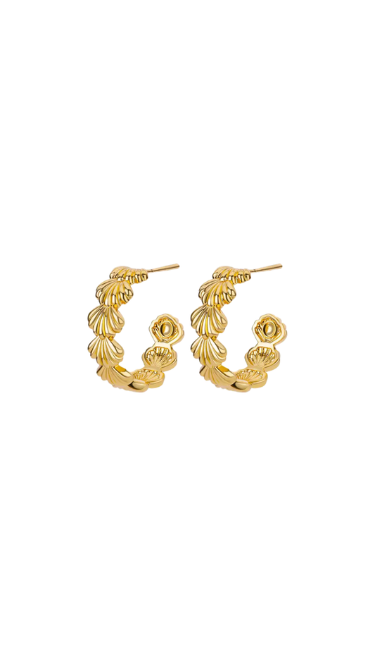 Seashells Gold Earrings by Sea Soul
