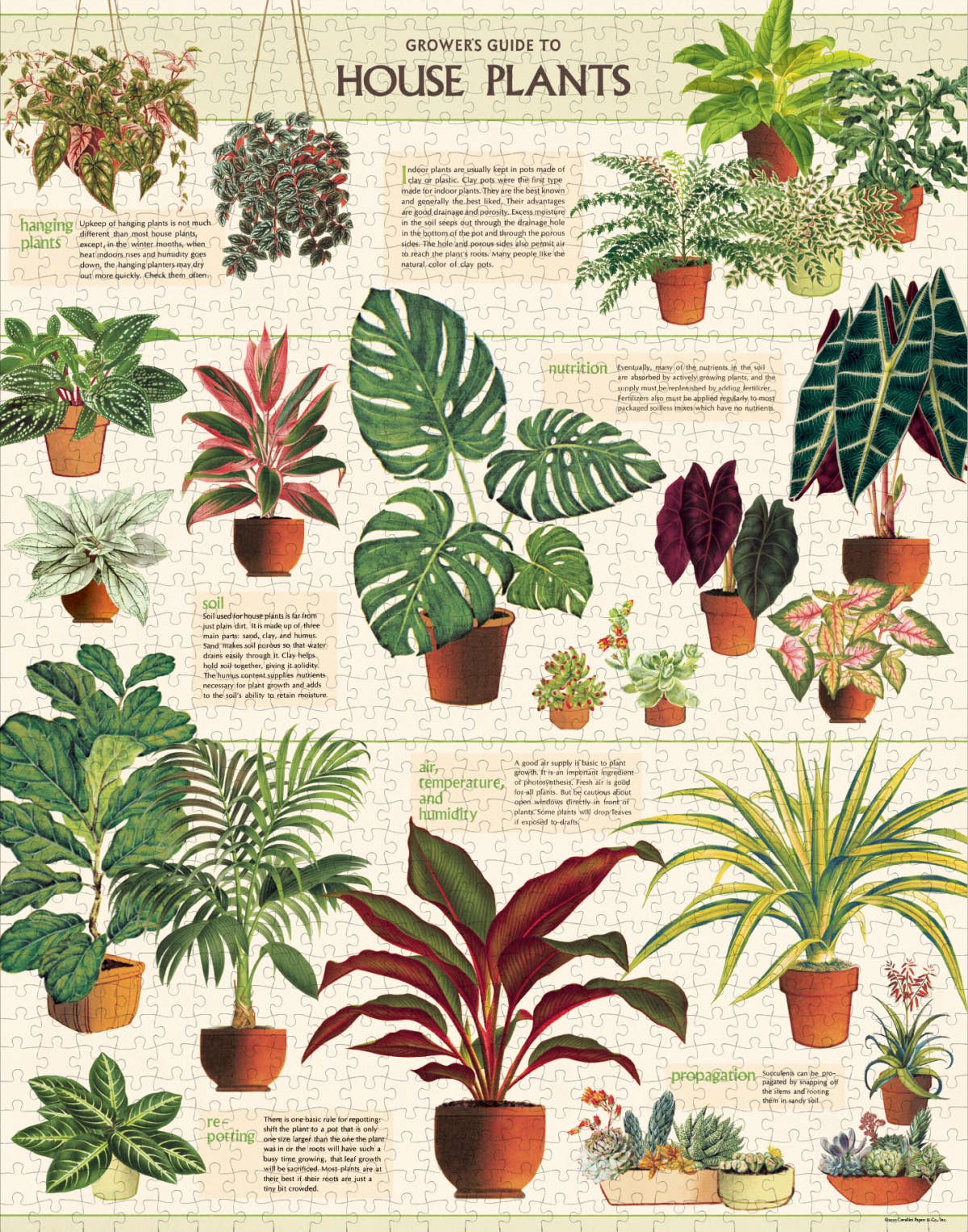 Cavallini - 1000 Pc Puzzle House Plants