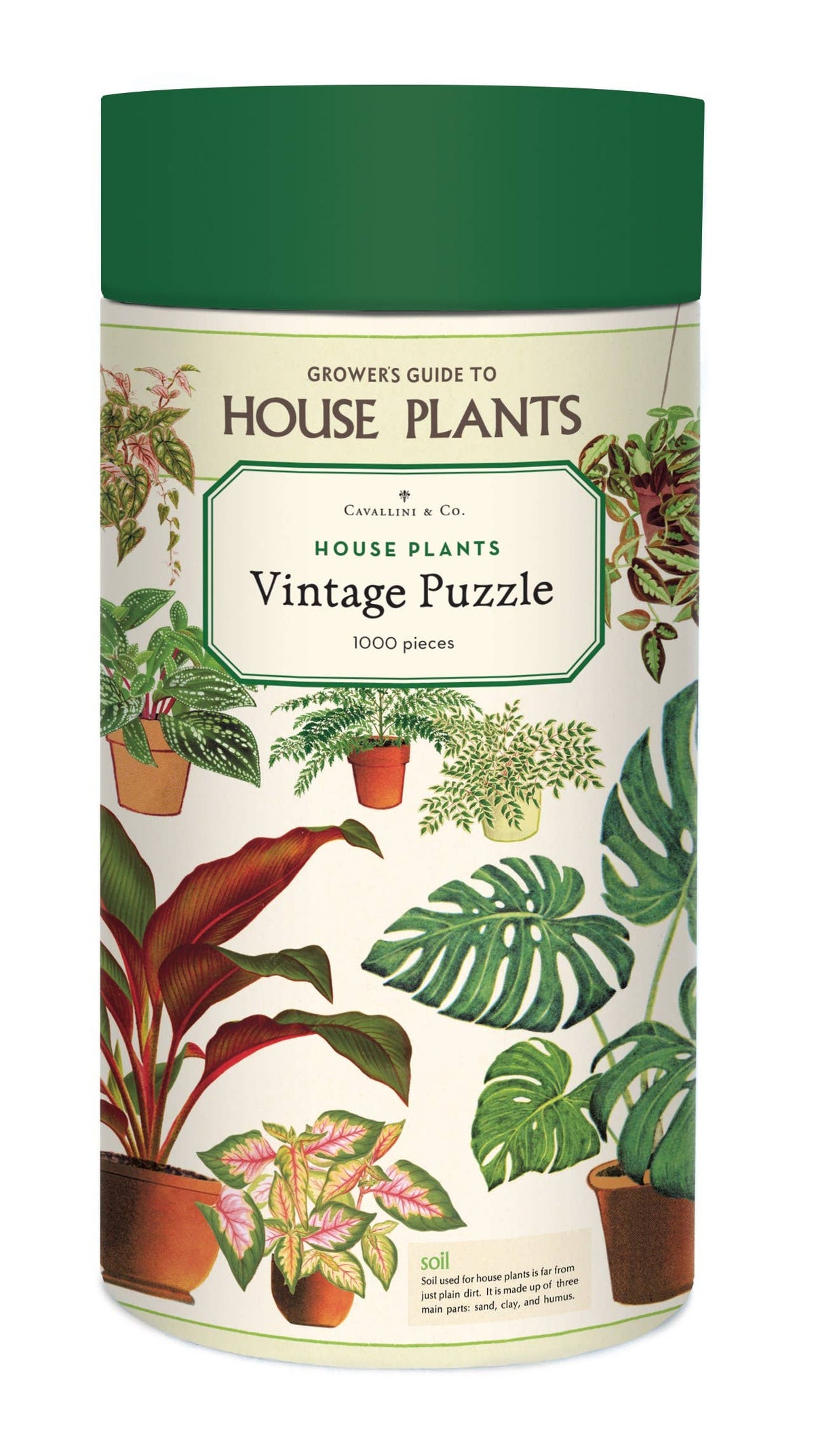 Cavallini - 1000 Pc Puzzle House Plants