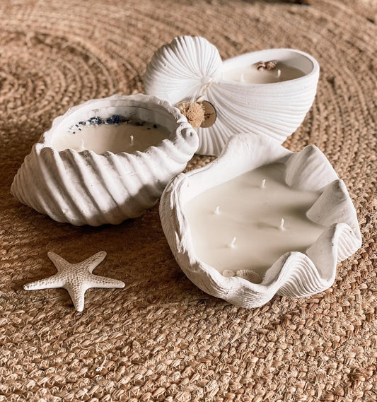 Cement Clam Shell Candle - Shorelines Collection