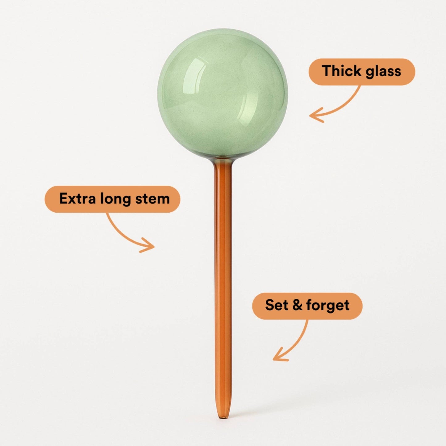 Self-Watering Plant Globes - We The Wild