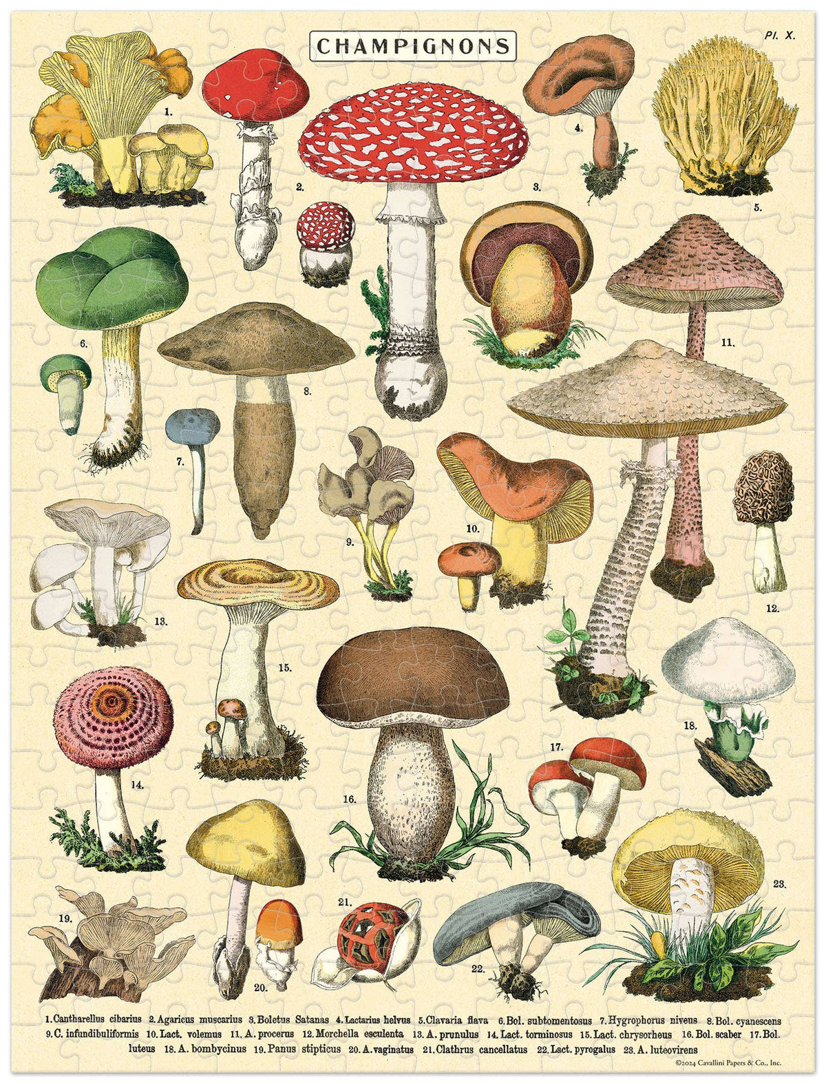 Cavallini  240 Pc Mini Puzzles