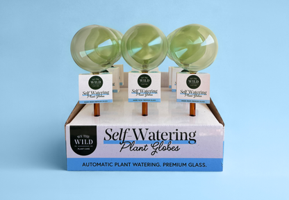 Self-Watering Plant Globes - We The Wild
