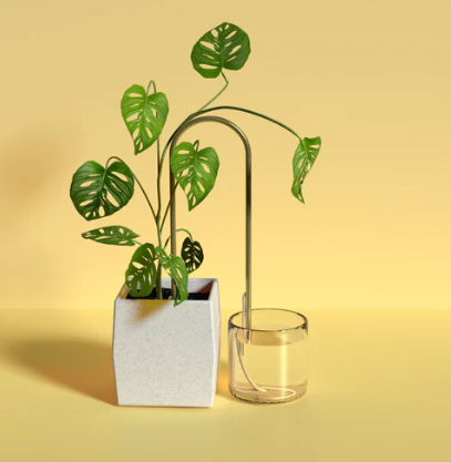 Self-Watering Plant Climber - We The Wild