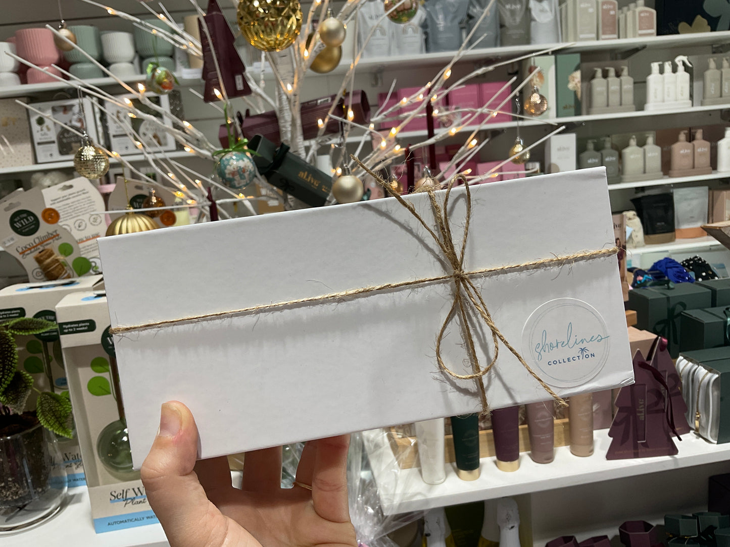 Christmas Edition Trio Candle Set - Shorelines Collection