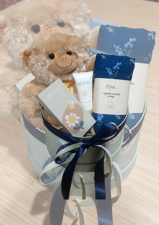 Baby Bear Bundle