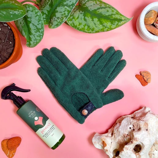 Leaf Health Duo - We The Wild