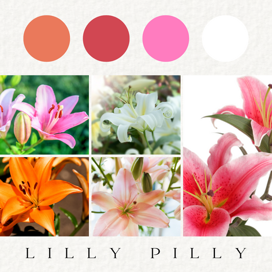 The Lilly Pilly - Fresh Flowers