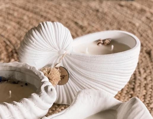 Nautilus Shell Candle - Shorelines Collection