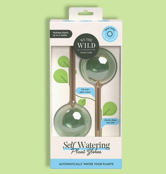 Self-Watering Plant Globes - We the Wild