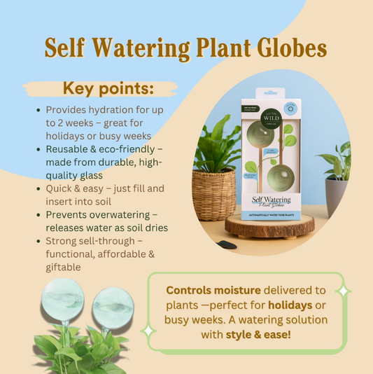Self-Watering Plant Globes - We the Wild
