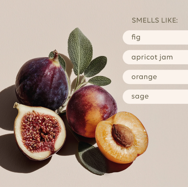 Reed Diffuser ~ Apricot & Sweet Fig ~ Al.ive Body
