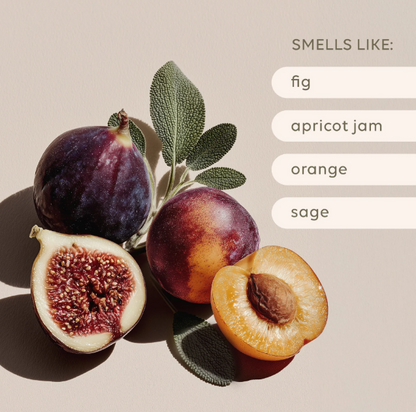 Reed Diffuser ~ Apricot & Sweet Fig ~ Al.ive Body