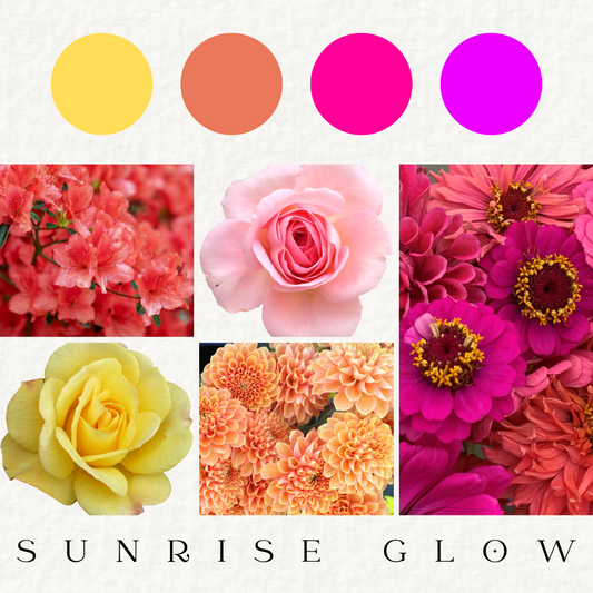 Sunrise Glow - Fresh Flowers