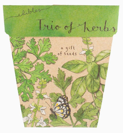 Gift Of Seeds - Sow & Sow