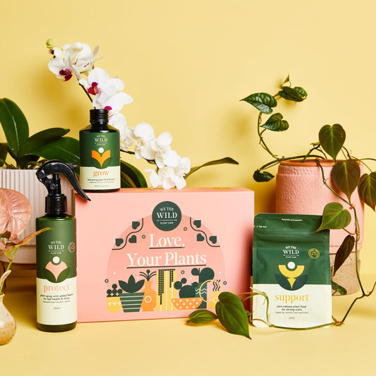 Plant Love Giftbox Essential Kit - We The Wild