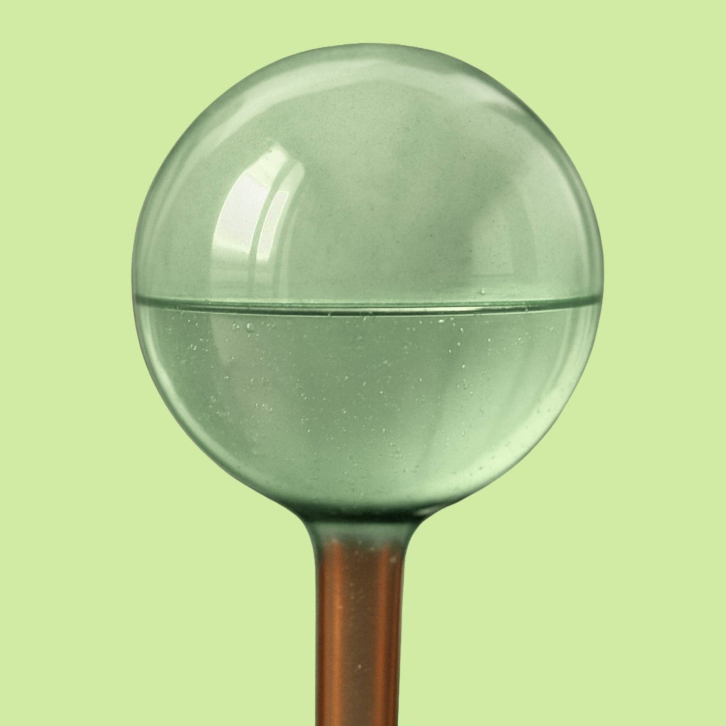 Self-Watering Plant Globes - We The Wild